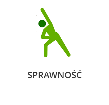 Sprawność